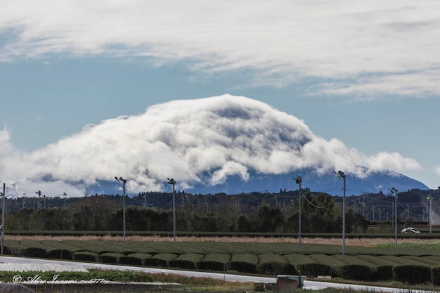 Vista panorâmica de um campo agrícola contra o céu