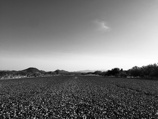 Foto vista panorâmica de um campo agrícola contra o céu