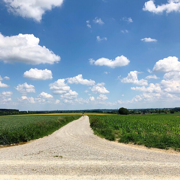 Vista panorâmica de um campo agrícola contra o céu