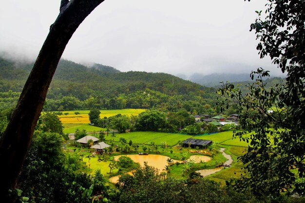 Foto vista panorâmica de um campo agrícola contra o céu