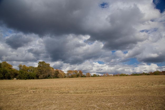 Vista panorâmica de um campo agrícola contra o céu