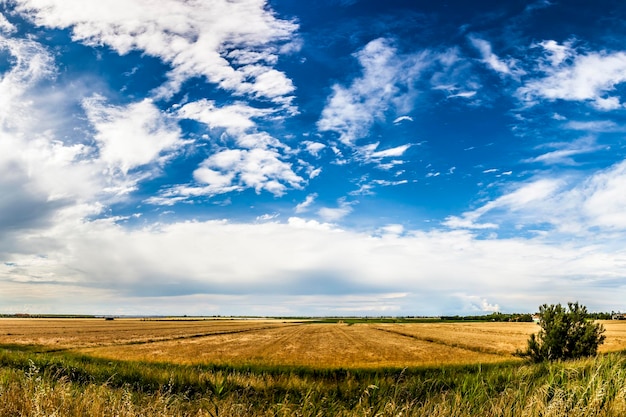 Vista panorâmica de um campo agrícola contra o céu