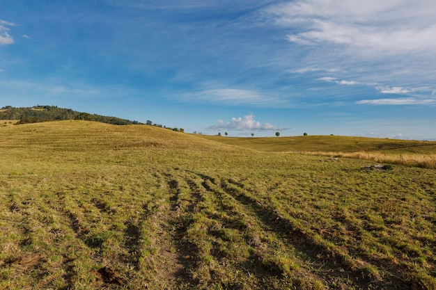 Vista panorâmica de um campo agrícola contra o céu