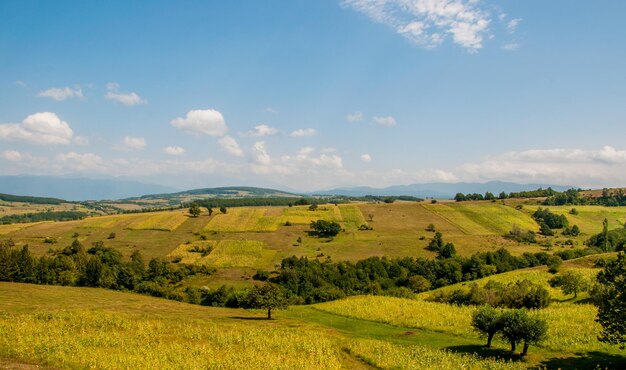 Foto vista panorâmica de um campo agrícola contra o céu