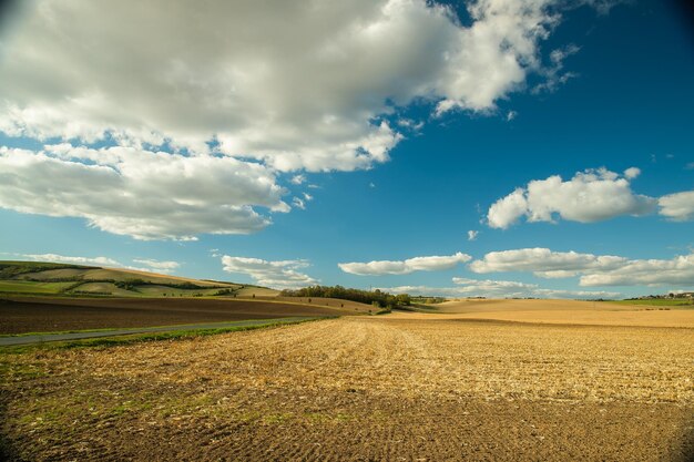 Vista panorâmica de um campo agrícola contra o céu