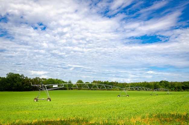 Foto vista panorâmica de um campo agrícola contra o céu