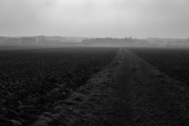 Vista panorâmica de um campo agrícola contra o céu