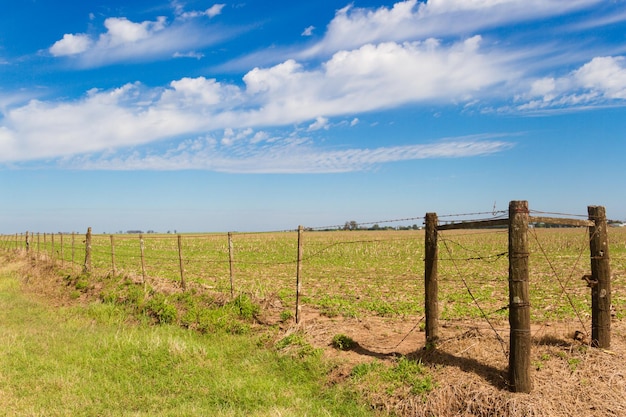 Foto vista panorâmica de um campo agrícola contra o céu