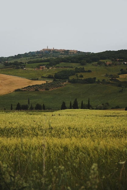 Foto vista panorâmica de um campo agrícola contra o céu