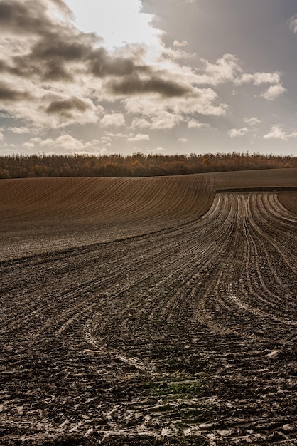 Foto vista panorâmica de um campo agrícola contra o céu