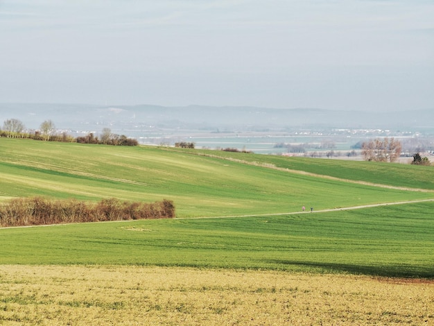 Vista panorâmica de um campo agrícola contra o céu