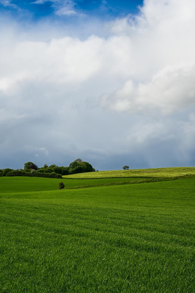 Foto vista panorâmica de um campo agrícola contra o céu