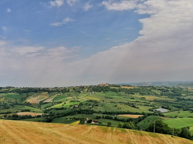 Vista panorâmica de um campo agrícola contra o céu