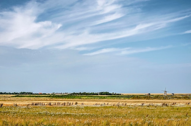 Vista panorâmica de um campo agrícola contra o céu