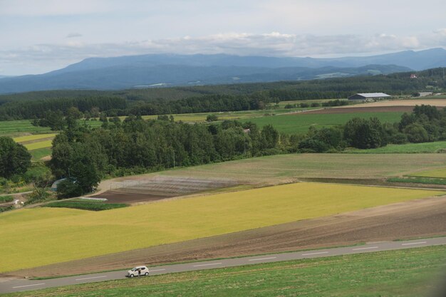 Vista panorâmica de um campo agrícola contra o céu