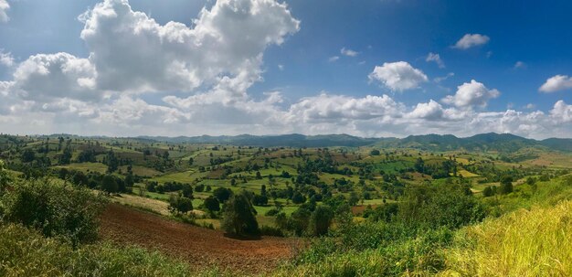 Foto vista panorâmica de um campo agrícola contra o céu