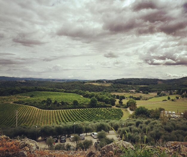 Foto vista panorâmica de um campo agrícola contra o céu