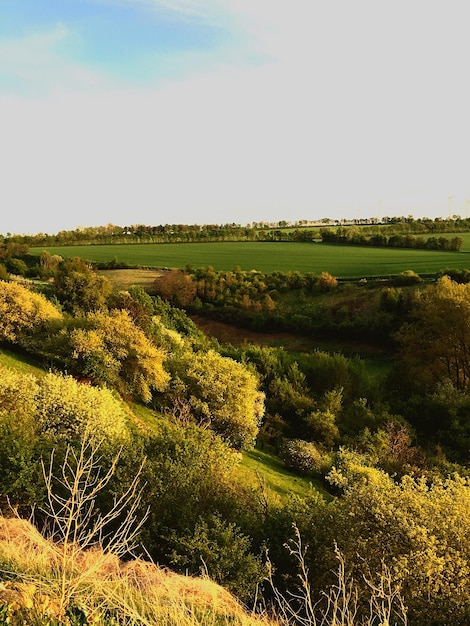 Foto vista panorâmica de um campo agrícola contra o céu