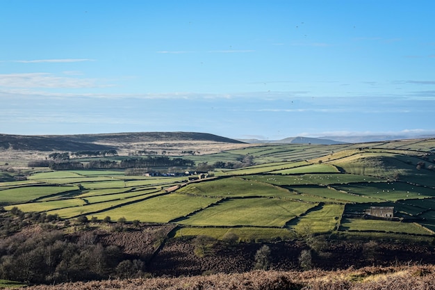 Vista panorâmica de um campo agrícola contra o céu