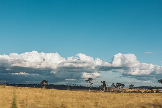 Vista panorâmica de um campo agrícola contra o céu