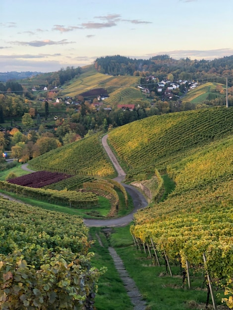 Foto vista panorâmica de um campo agrícola contra o céu