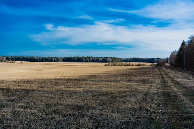 Foto vista panorâmica de um campo agrícola contra o céu