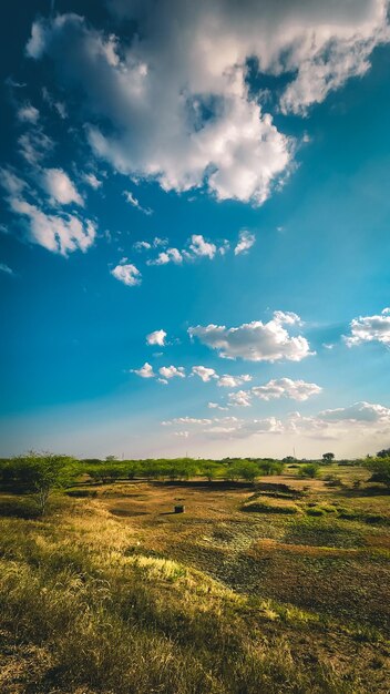 Foto vista panorâmica de um campo agrícola contra o céu