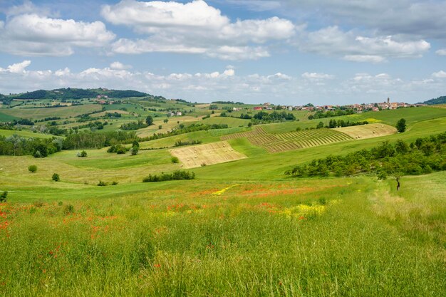 Vista panorâmica de um campo agrícola contra o céu