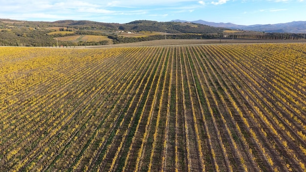 Vista panorâmica de um campo agrícola contra o céu