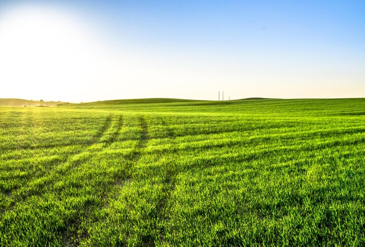 Foto vista panorâmica de um campo agrícola contra o céu