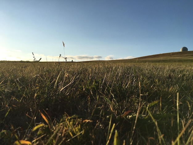 Vista panorâmica de um campo agrícola contra o céu