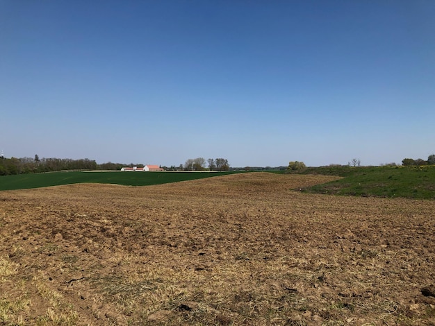 Foto vista panorâmica de um campo agrícola contra um céu azul claro