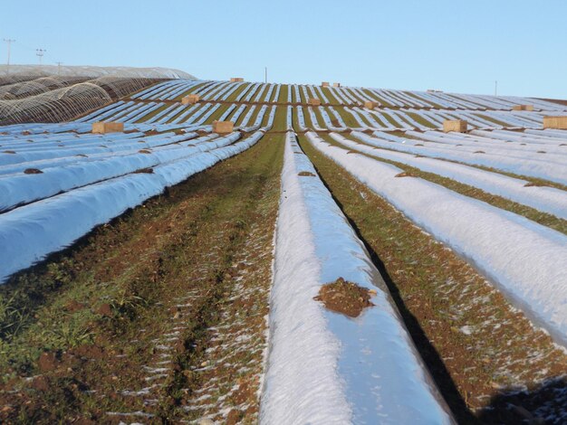 Foto vista panorâmica de um campo agrícola contra um céu claro