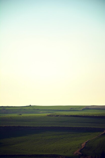 Foto vista panorâmica de um campo agrícola contra um céu claro