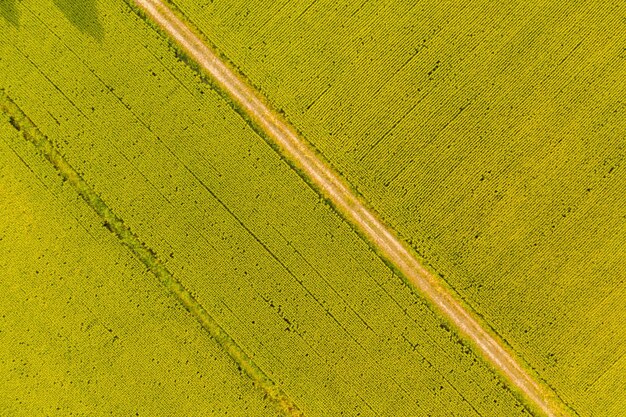 Foto vista panorâmica de um campo agrícola