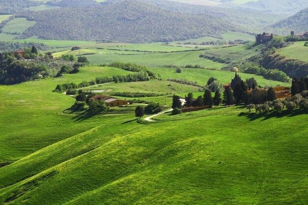 Foto vista panorâmica de um campo agrícola