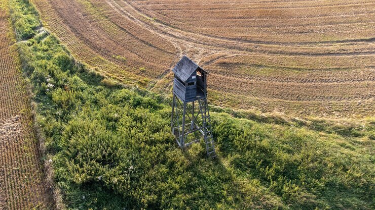 Foto vista panorâmica de um campo agrícola