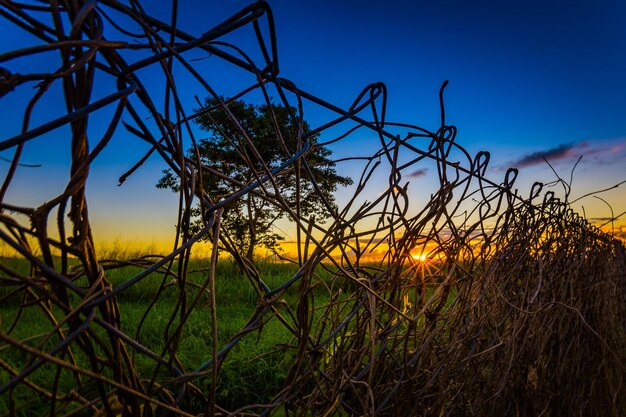 Foto vista panorâmica de um campo contra o céu ao pôr-do-sol