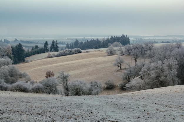 Vista panorâmica de um campo contra o céu durante o inverno