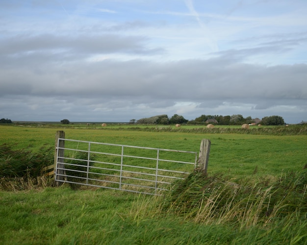 Vista panorâmica de um campo de grama contra um céu nublado