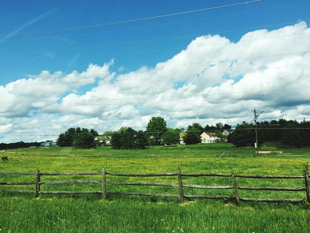 Vista panorâmica de um campo gramado contra o céu