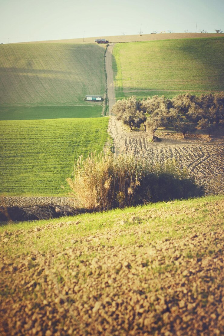 Foto vista panorâmica de um campo gramado contra o céu
