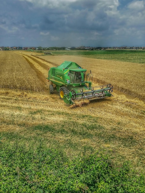 Foto vista panorâmica de um campo gramado contra o céu