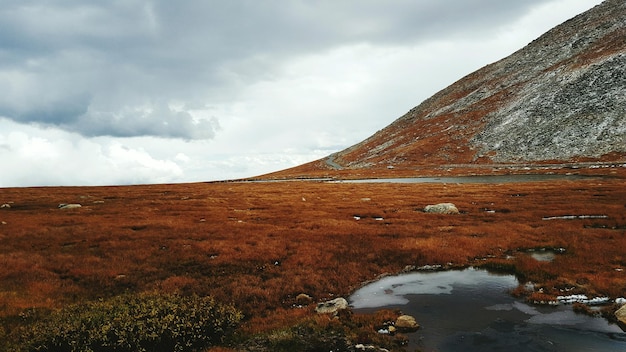 Vista panorâmica de um campo gramado contra o céu