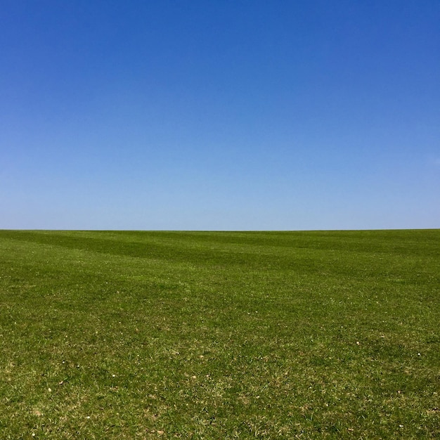 Foto vista panorâmica de um campo gramado contra um céu azul claro