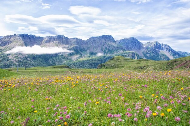 Foto vista panorâmica de um campo gramado contra um céu nublado