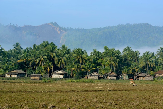 Vista panorâmica de um campo gramado contra um céu nublado