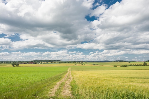 Vista panorâmica de um campo gramado contra um céu nublado