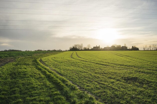 Foto vista panorâmica de um campo gramado contra um céu nublado