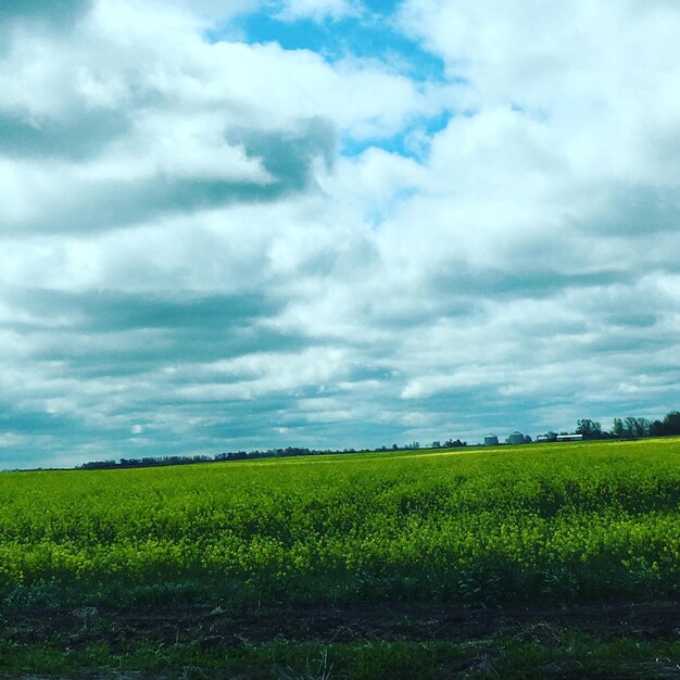 Vista panorâmica de um campo gramado contra um céu nublado